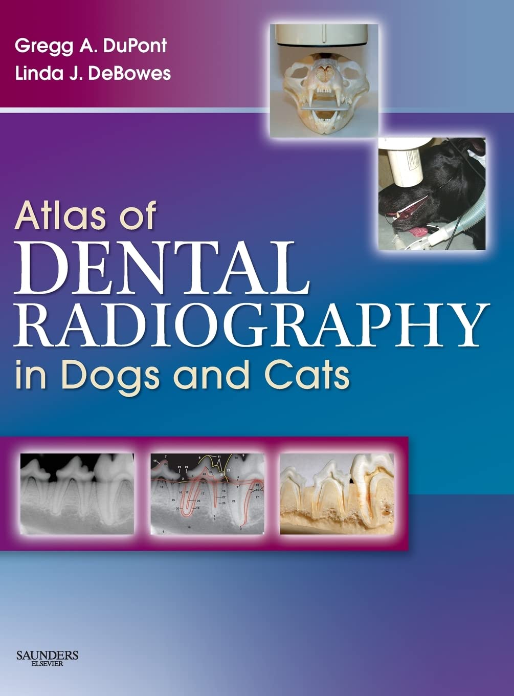 Atlas of Dental Radiography in Dogs and Cats: DuPont DVM FAVD